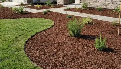 Fresh mulch installation with clean edges and rich color by Chop Chop Landscaping in Escondido, CA
