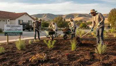 Organic soil amendment and compost application by landscapers in Escondido, CA for healthy lawn growth
