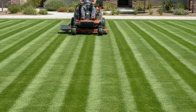 Professional lawn striping with sharp edges by Chop Chop Landscaping in Escondido, CA
